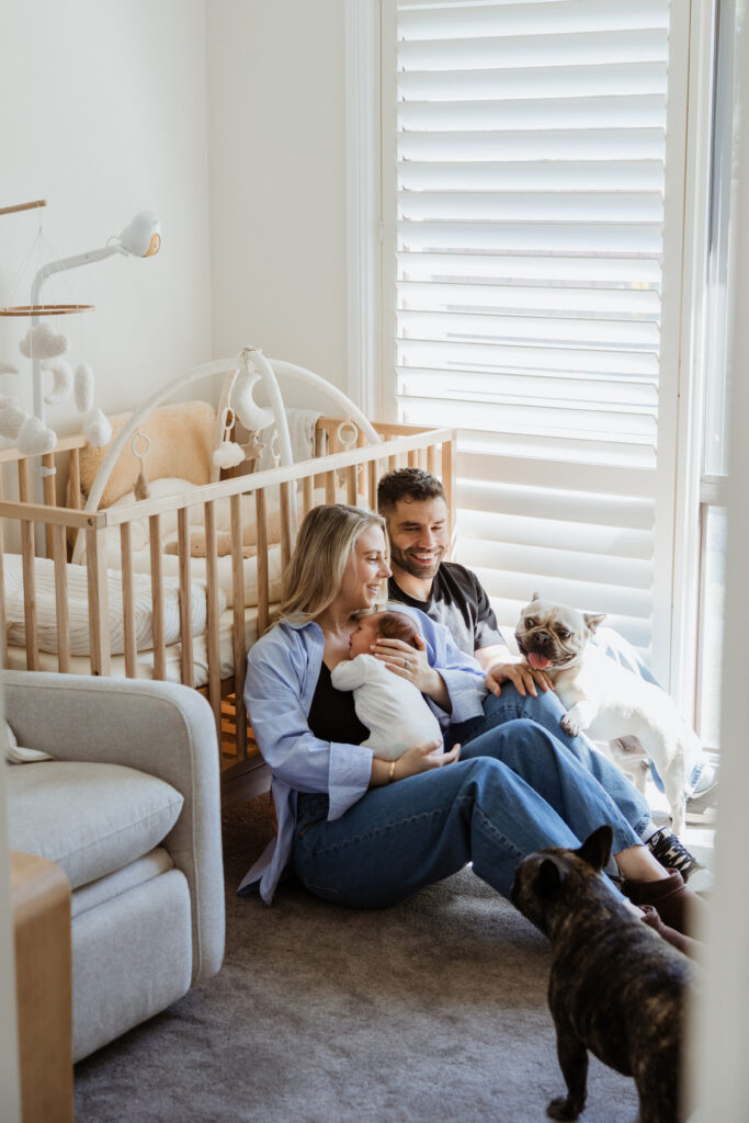 mum and dad sit on the floor of their baby's nursery with their french bulldogs during in-home newborn session